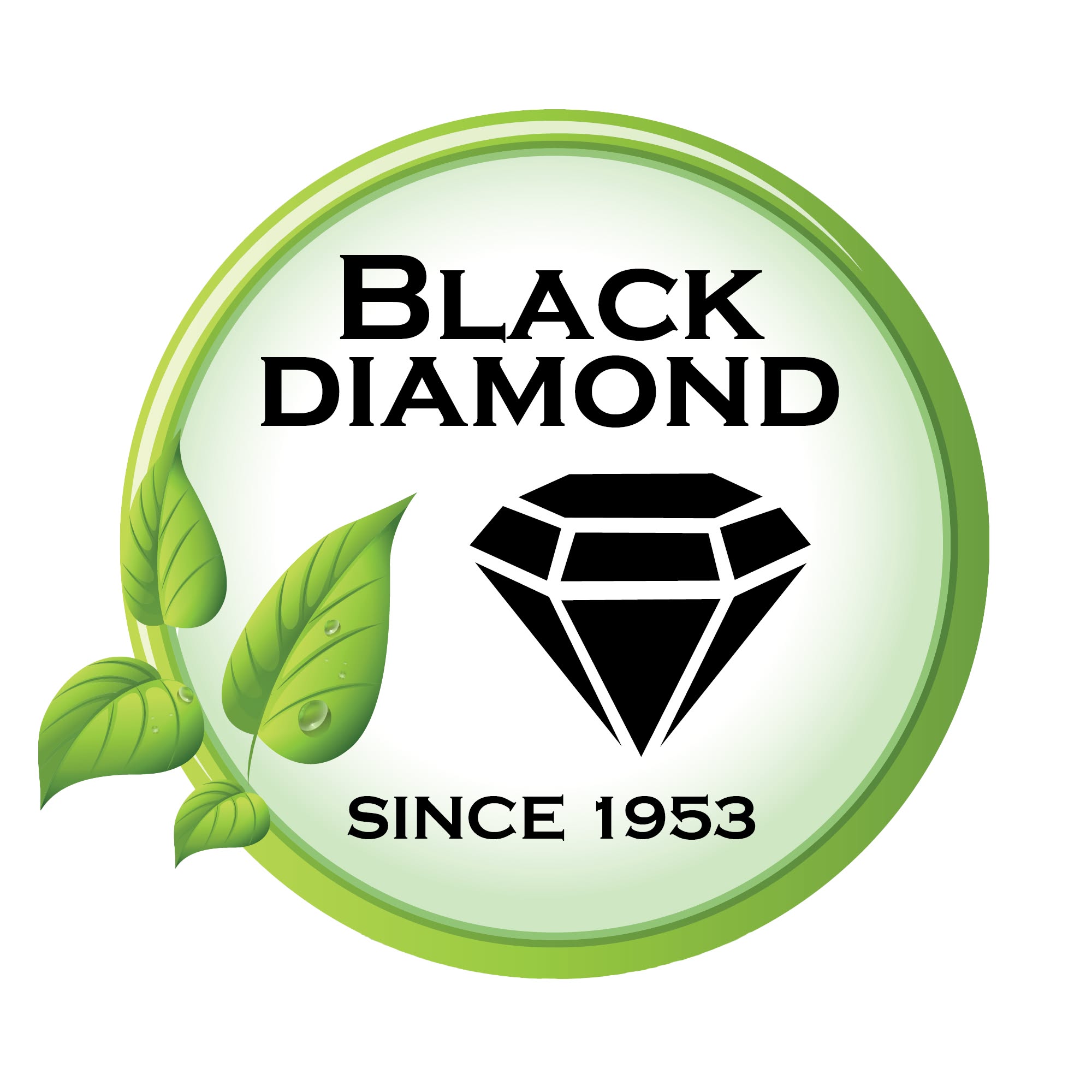 /shared/superadmin/content/images/dynamic/deal/9084776/offer-image-9084776-PFNXbVf8Kr-1775143968.jpg