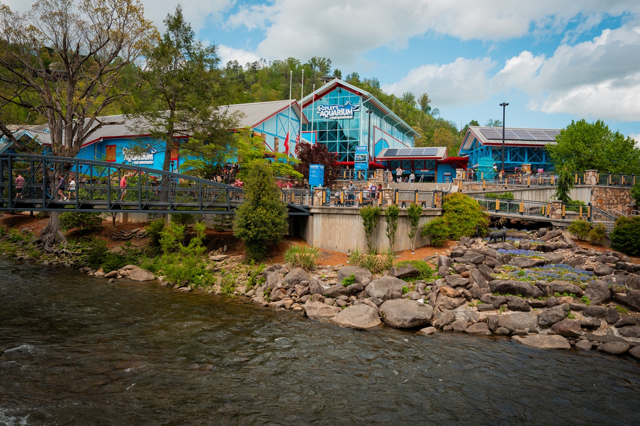 /shared/superadmin/content/images/dynamic/deal/9085177/offer-image-9085177-di1wGveTXs-1781722908.jpg