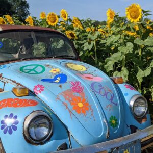 /shared/superadmin/content/images/dynamic/deal/9085615/offer-image-9085615-kuOhjdfcud-1784750180.jpeg